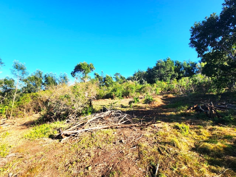 Commercial Property for Sale in Langvlei Dunes Western Cape